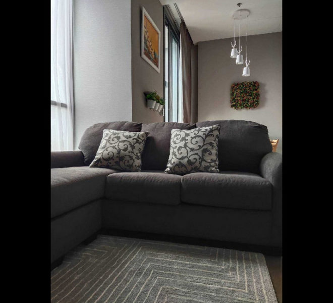 14357 Image-01