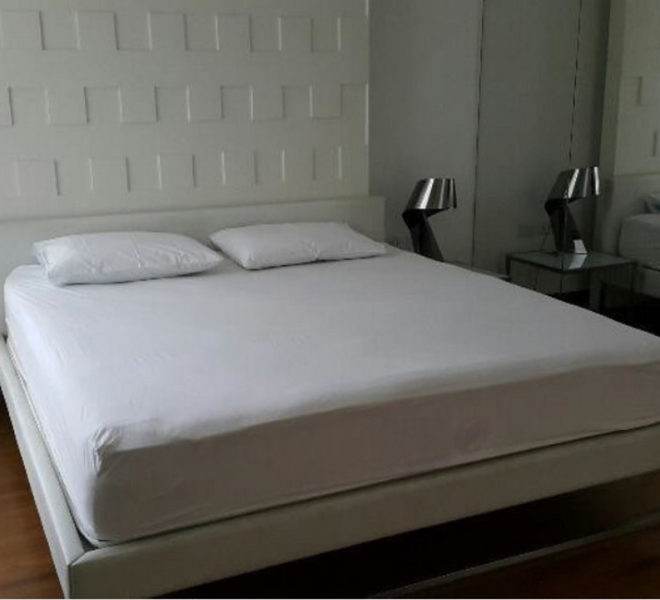 14484 Image-04