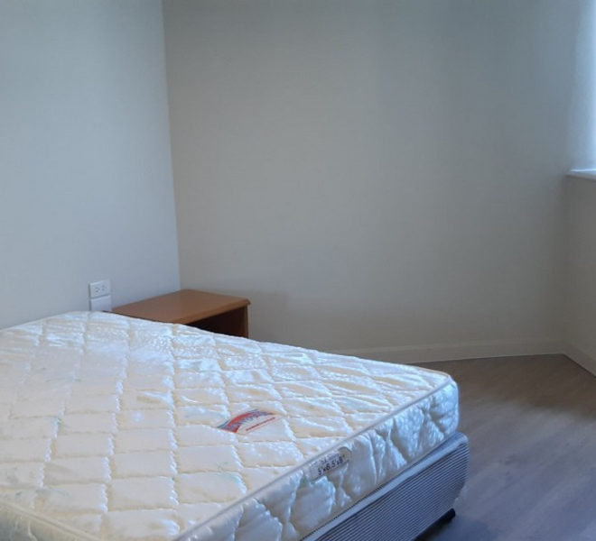 14534 Image-14