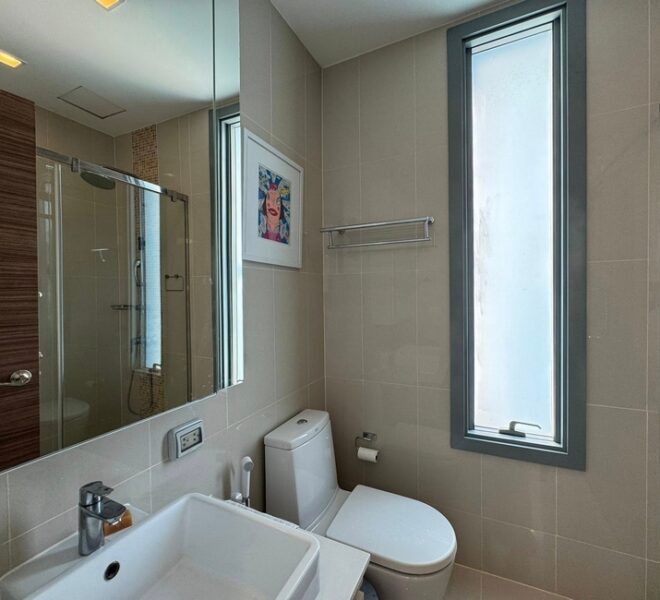 14538 Image-10