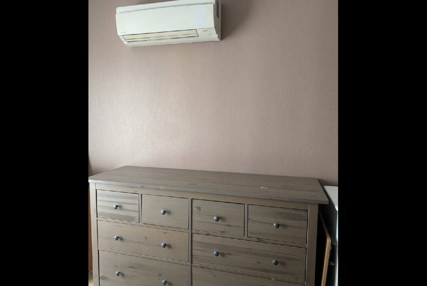 14786 Image-02