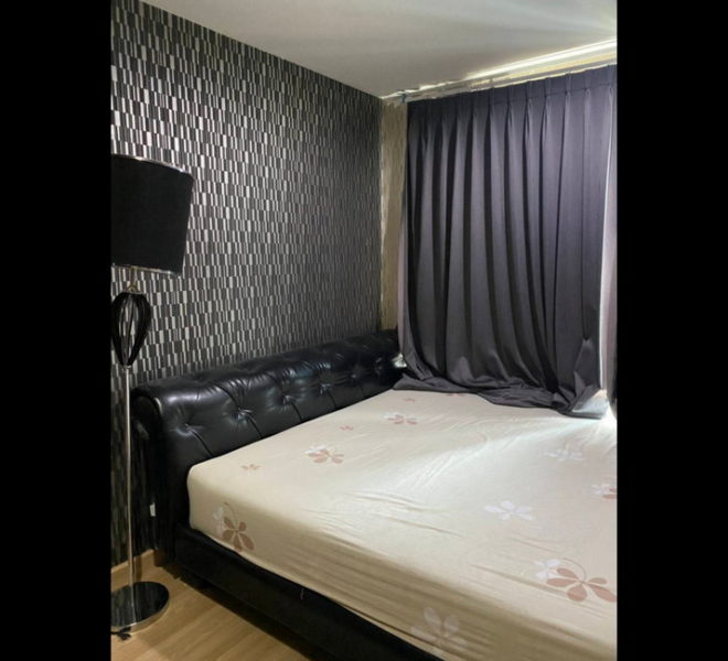 14786 Image-05