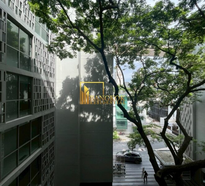 10976 Image-04