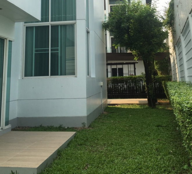 27814 Image-21