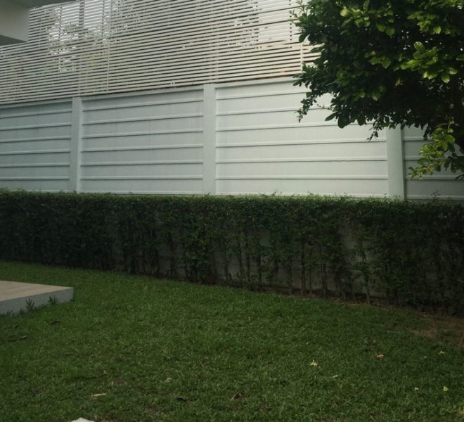 27814 Image-22