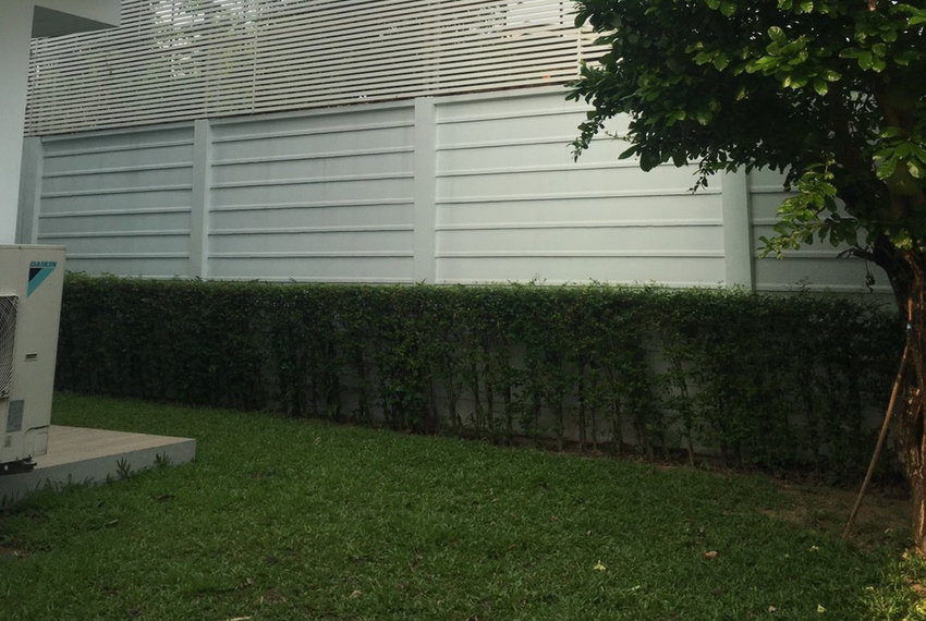 27814 Image-22