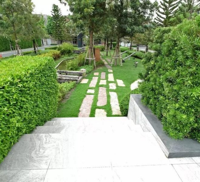 27842 Image-15