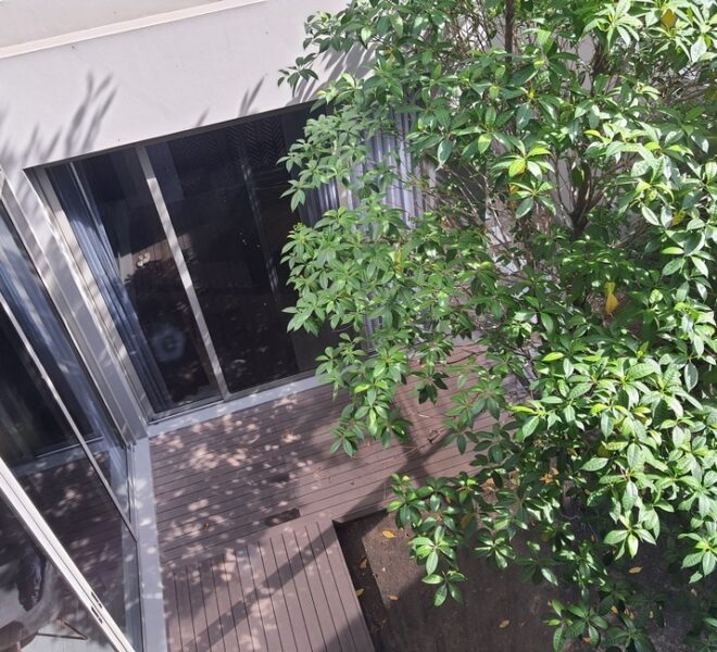 27842 Image-24