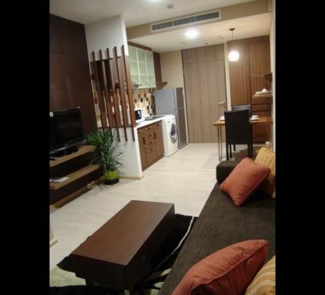 14943 Image-02