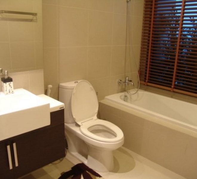 14943 Image-05