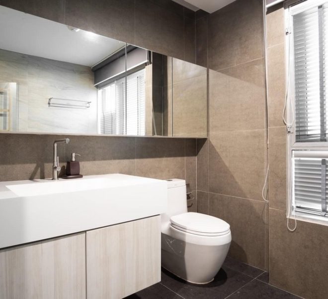 15202 Image-20