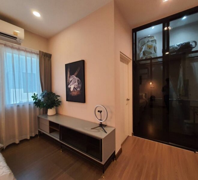 27843 Image-22