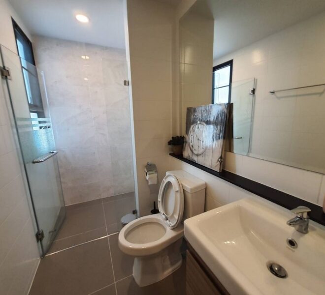 27843 Image-24