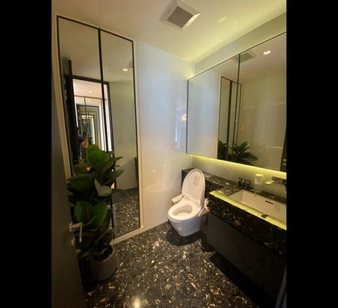 15456 Image-13