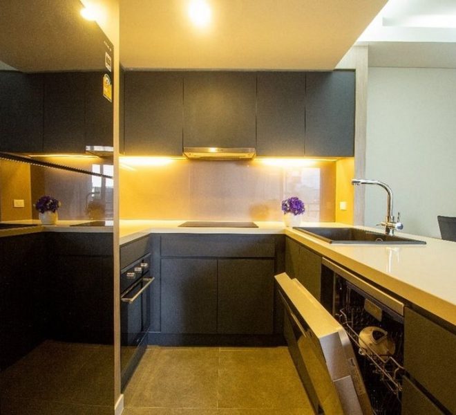 15519 Image-04