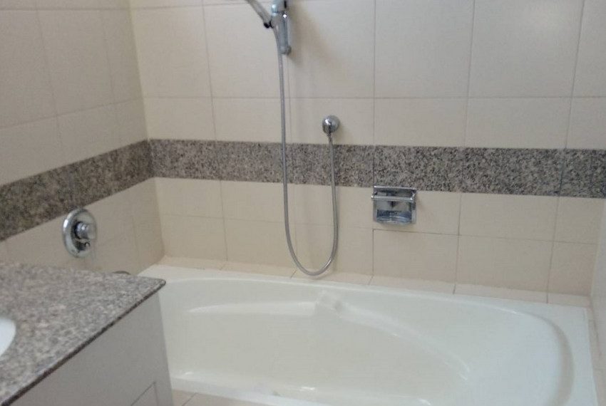 15573 Image-08