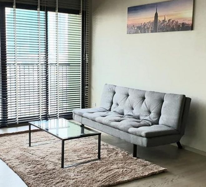 15579 Image-01
