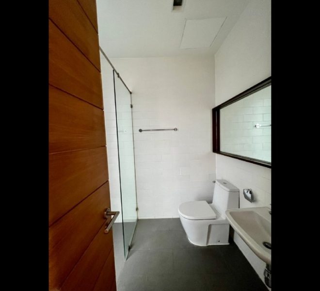 27879 Image-19