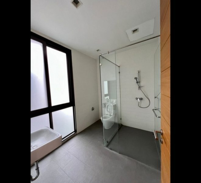 27879 Image-24