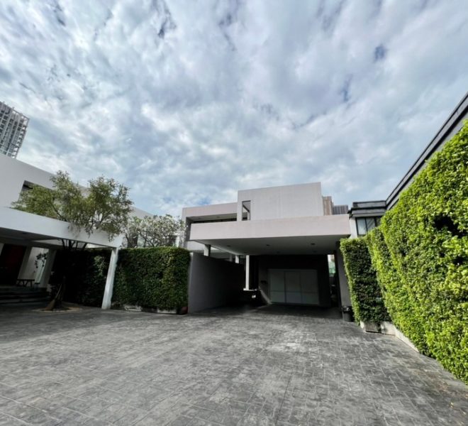 27879 Image-28