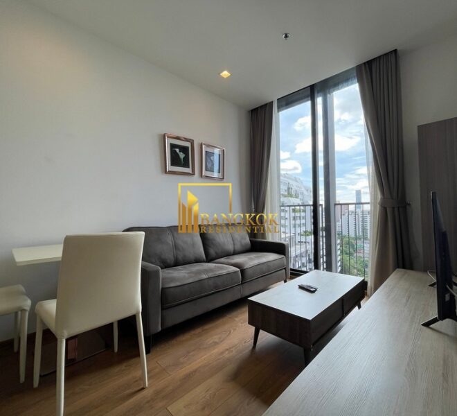 15677 Image-01