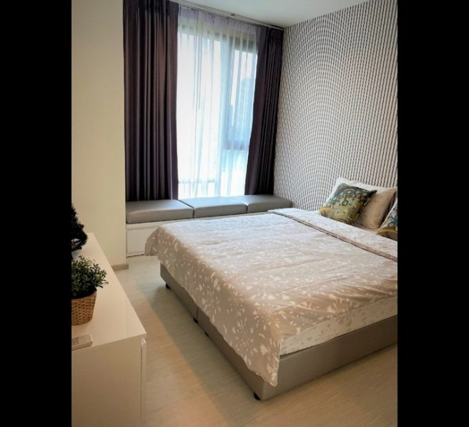 15722 Image-04