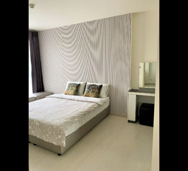 15722 Image-05