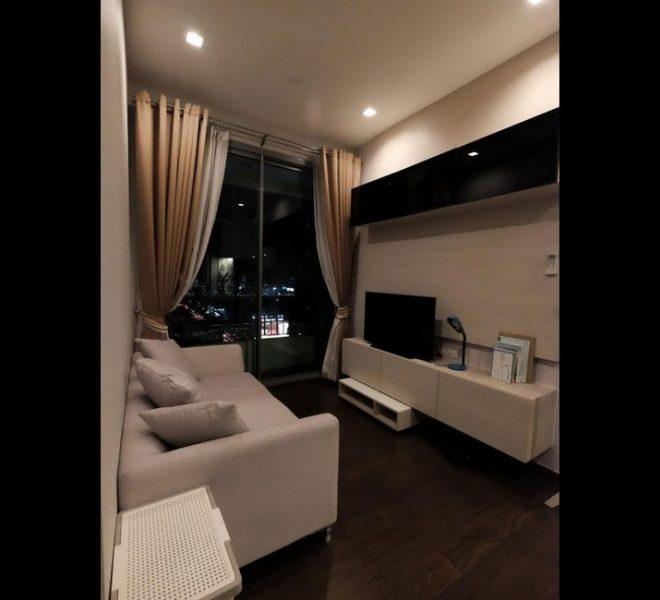 15818 Image-01