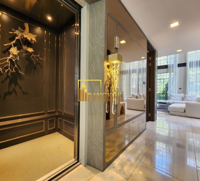 27898 Image-09