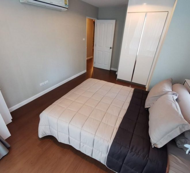 14525 Image-20