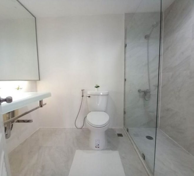 15833 Image-09