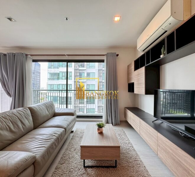 15856 Image-01