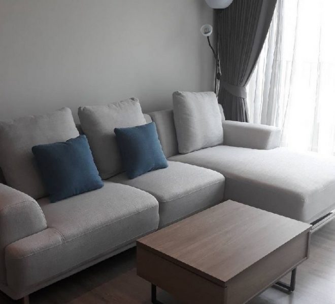 15871 Image-01