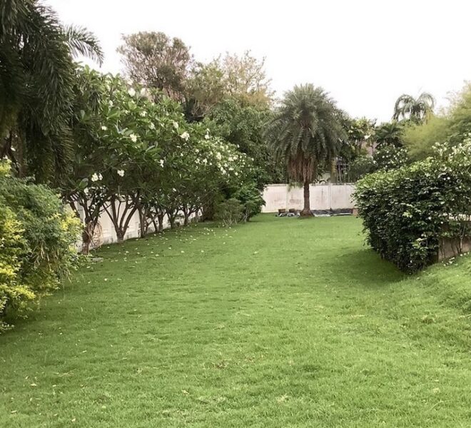 27907 Image-21