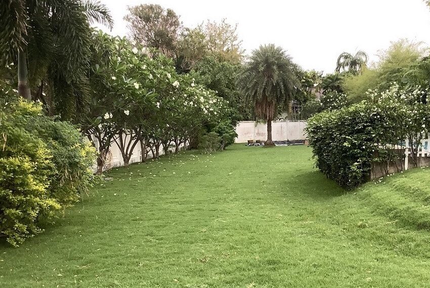 27907 Image-21