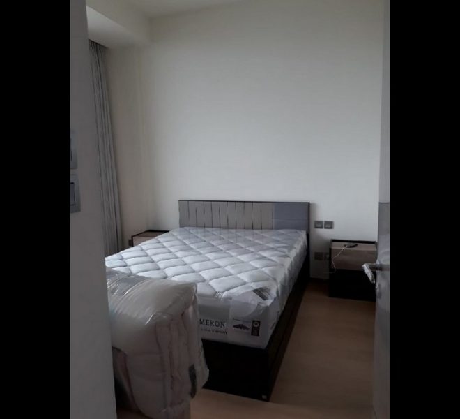 15917 Image-05