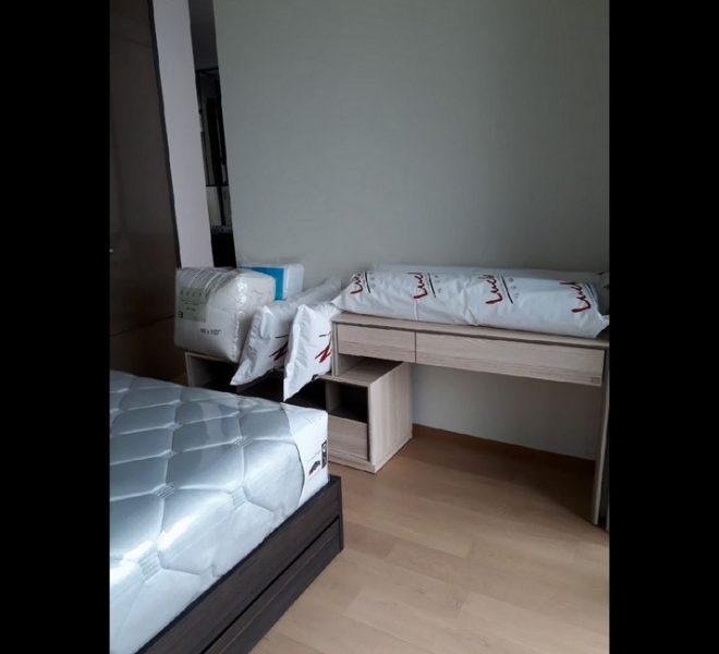 15917 Image-06