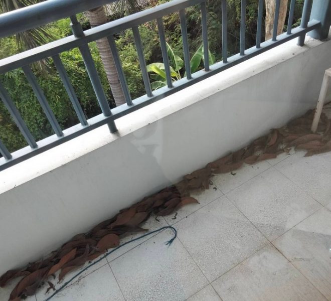15967 Image-05