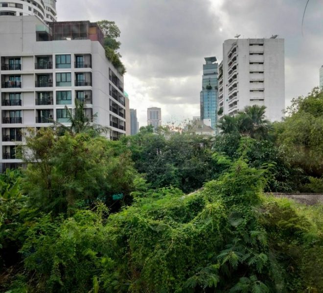 15967 Image-06