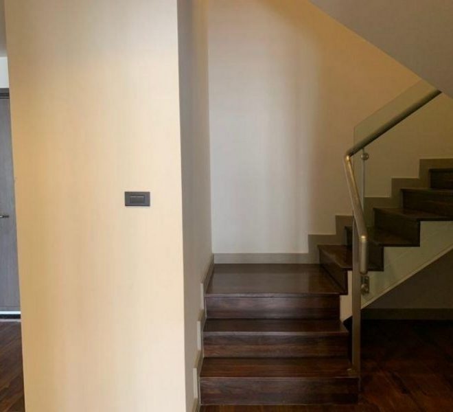 20678 Image-07