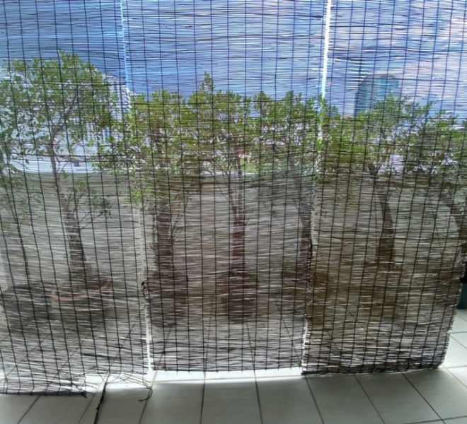 8880 Image-24