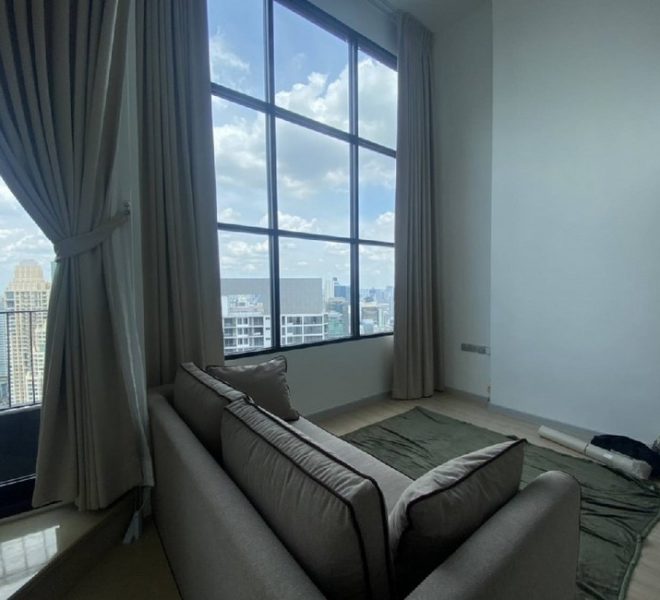 15904 Image-01