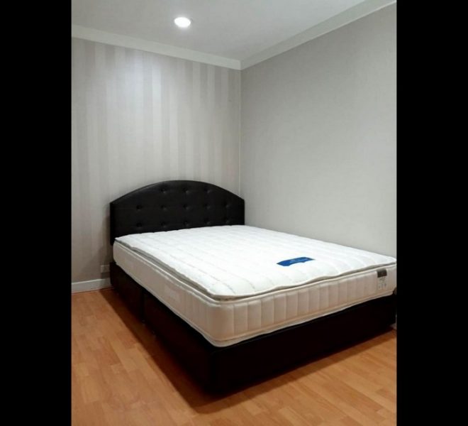 16037 Image-10