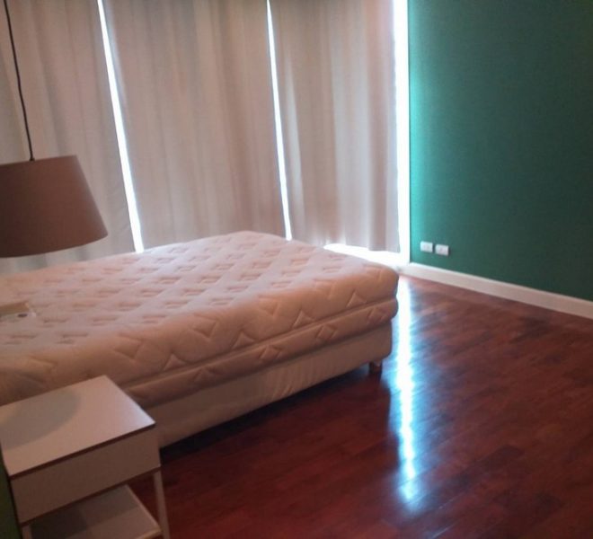 16075 Image-05