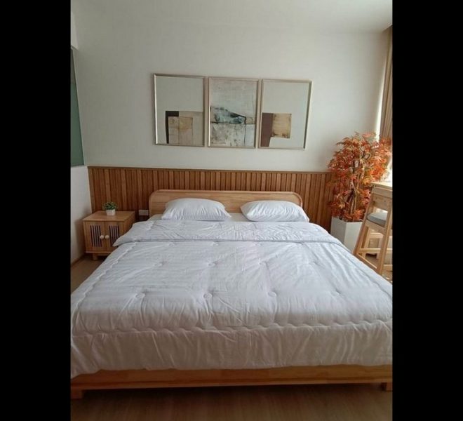 16112 Image-04
