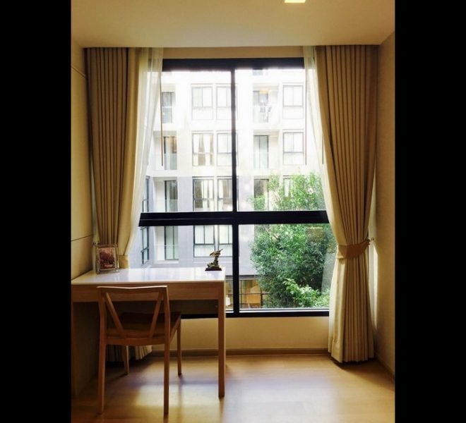 16123 Image-08