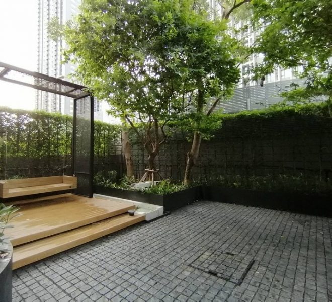 27936 Image-13