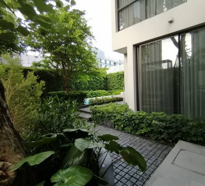27936 Image-14