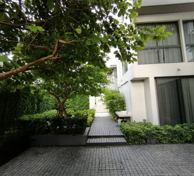 27936 Image-15
