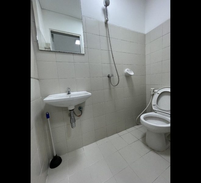 16198 Image-09